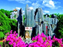 西双版纳4天3晚游(